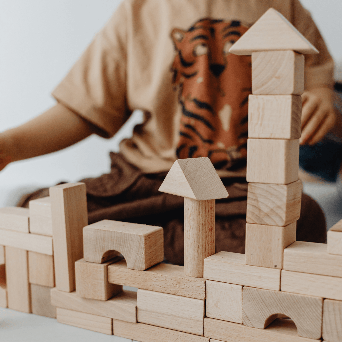 Whittle Kingdom™ 100pc Story Block Set
