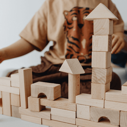 Whittle Kingdom™ 100pc Story Block Set